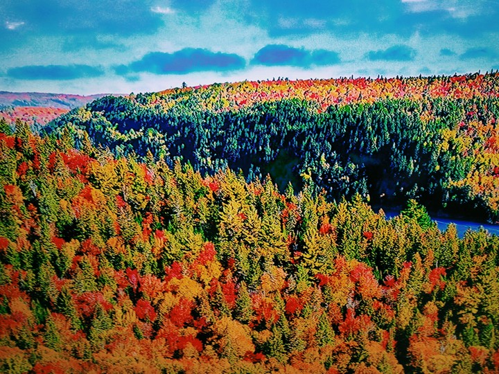la nature