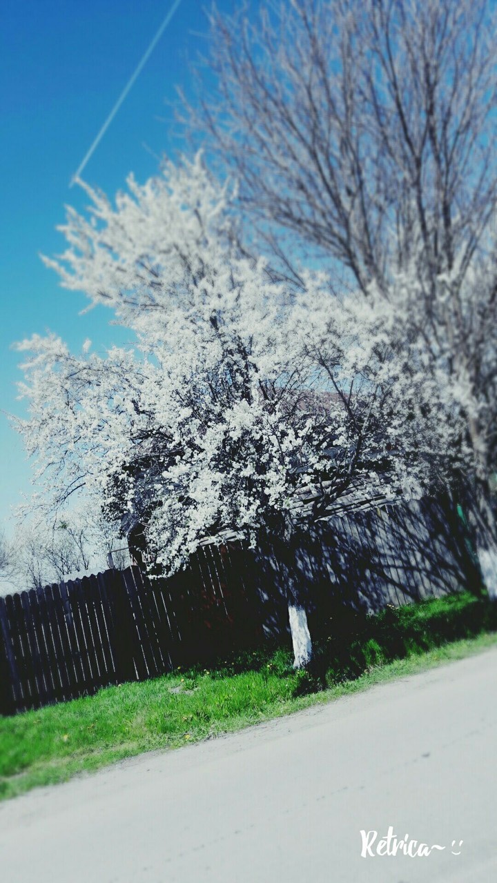 nature
