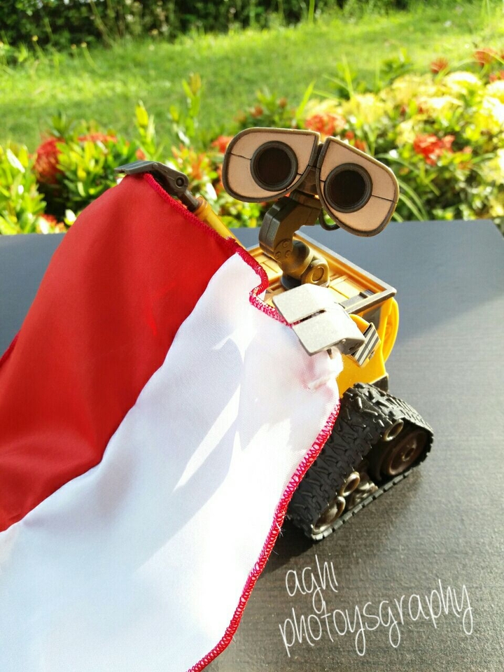 Wall-e in Indonesia