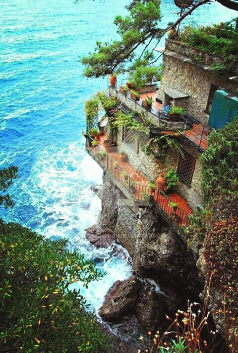 Home sweet Home of nature