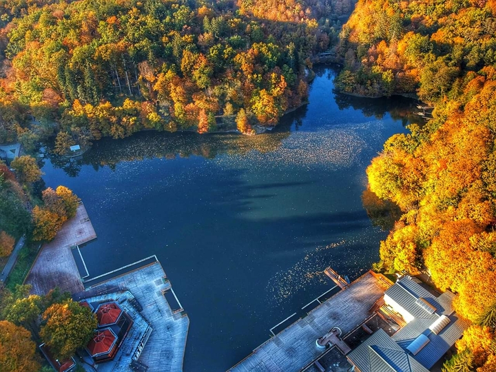 Fall