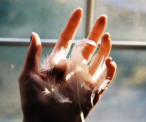 luce