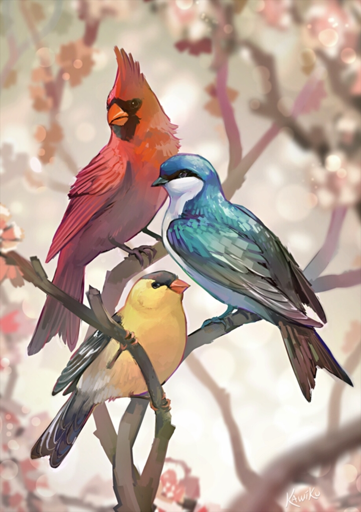birds