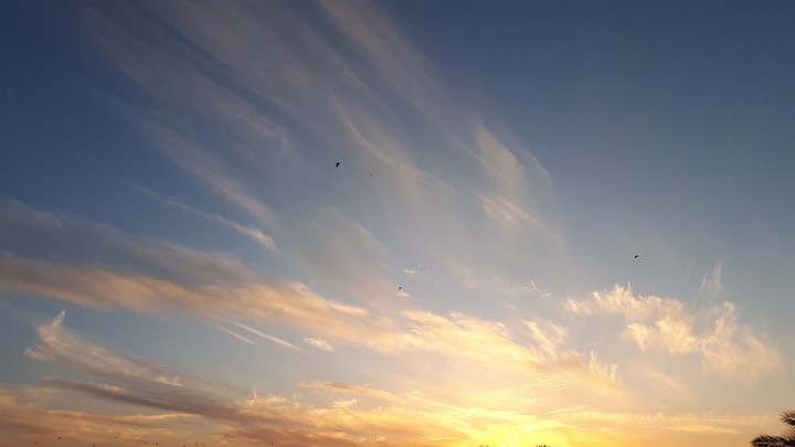 natural view
