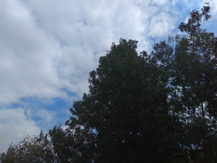 blue sky