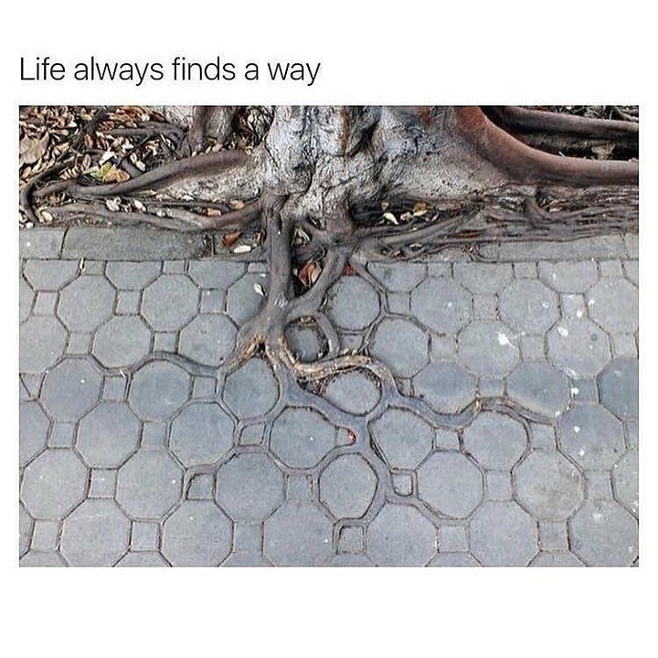 Is that right?