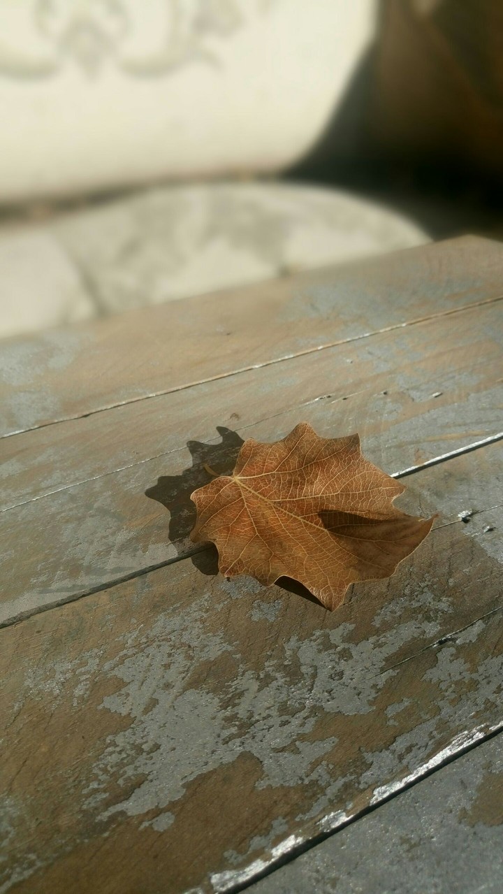 autumn 