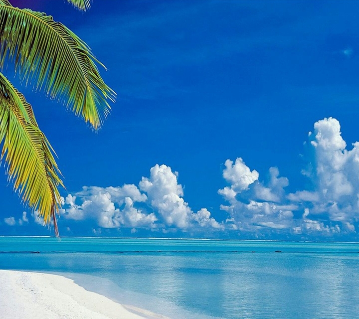 #laplaya