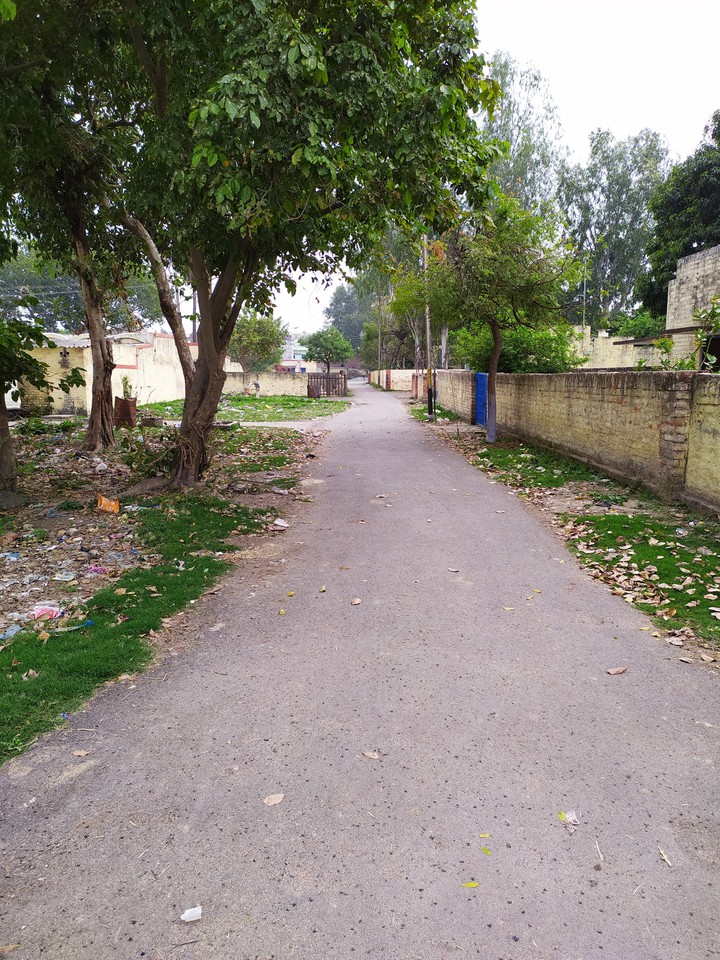 pleasent road