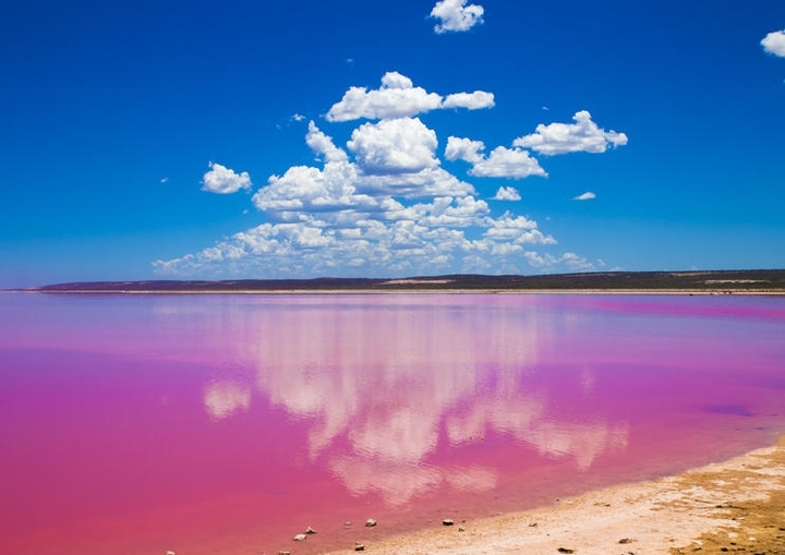 pink lake