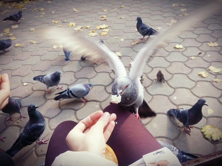 Little friend of mine