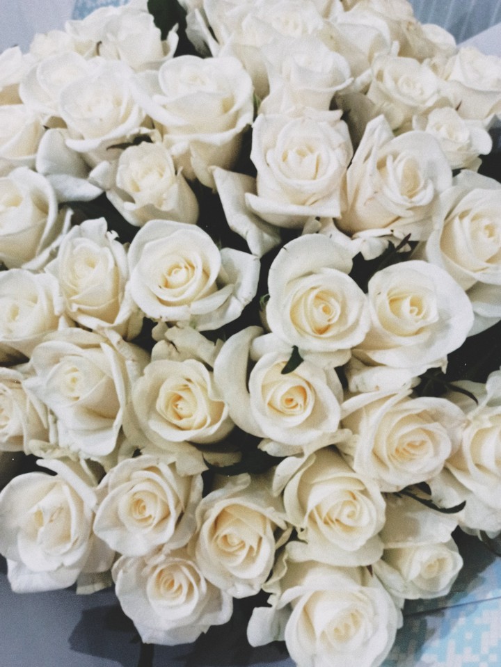 roses