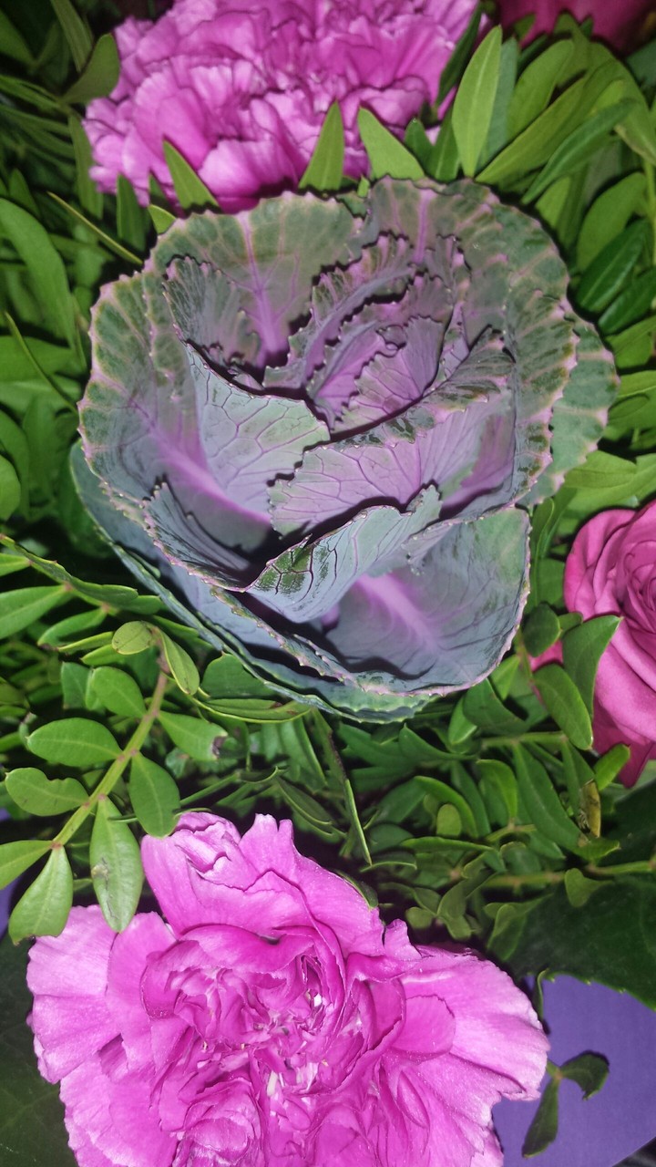 andere Blume