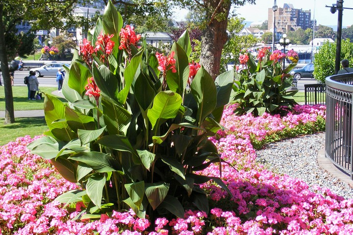 Victoria Harbor, BC