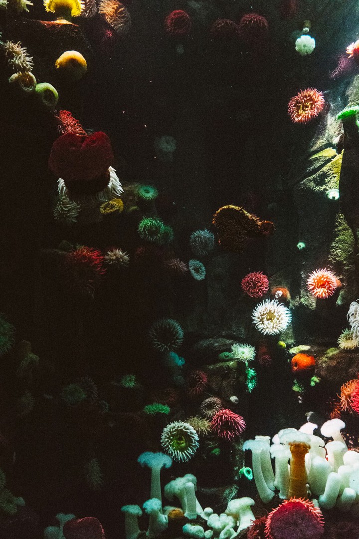 underwater