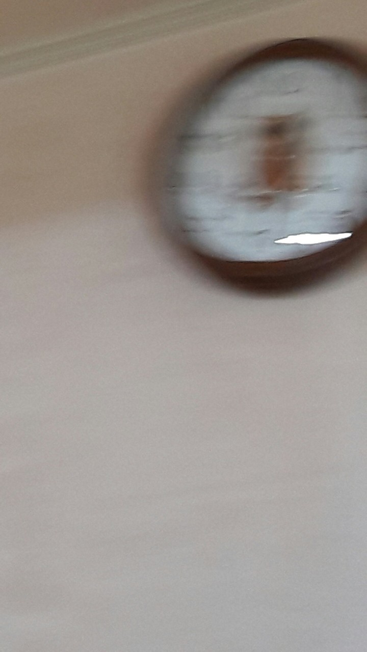 흔들