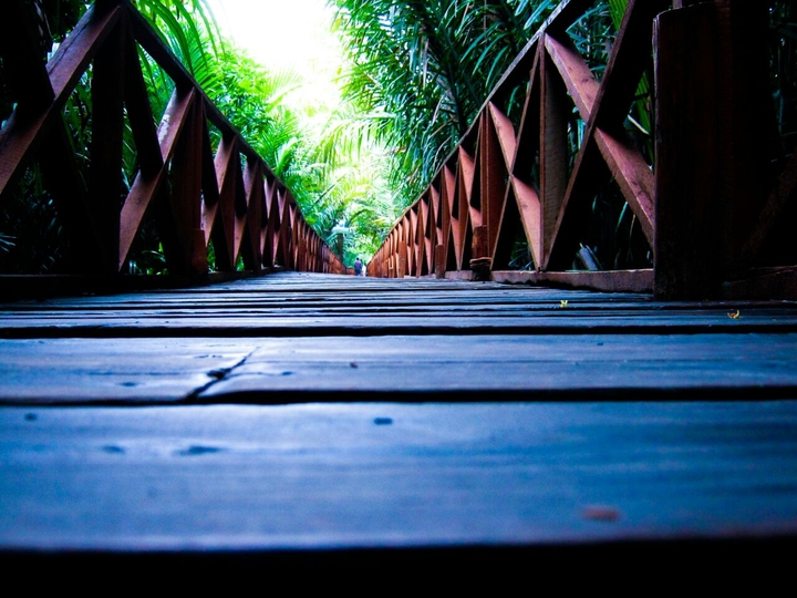 The road not taken