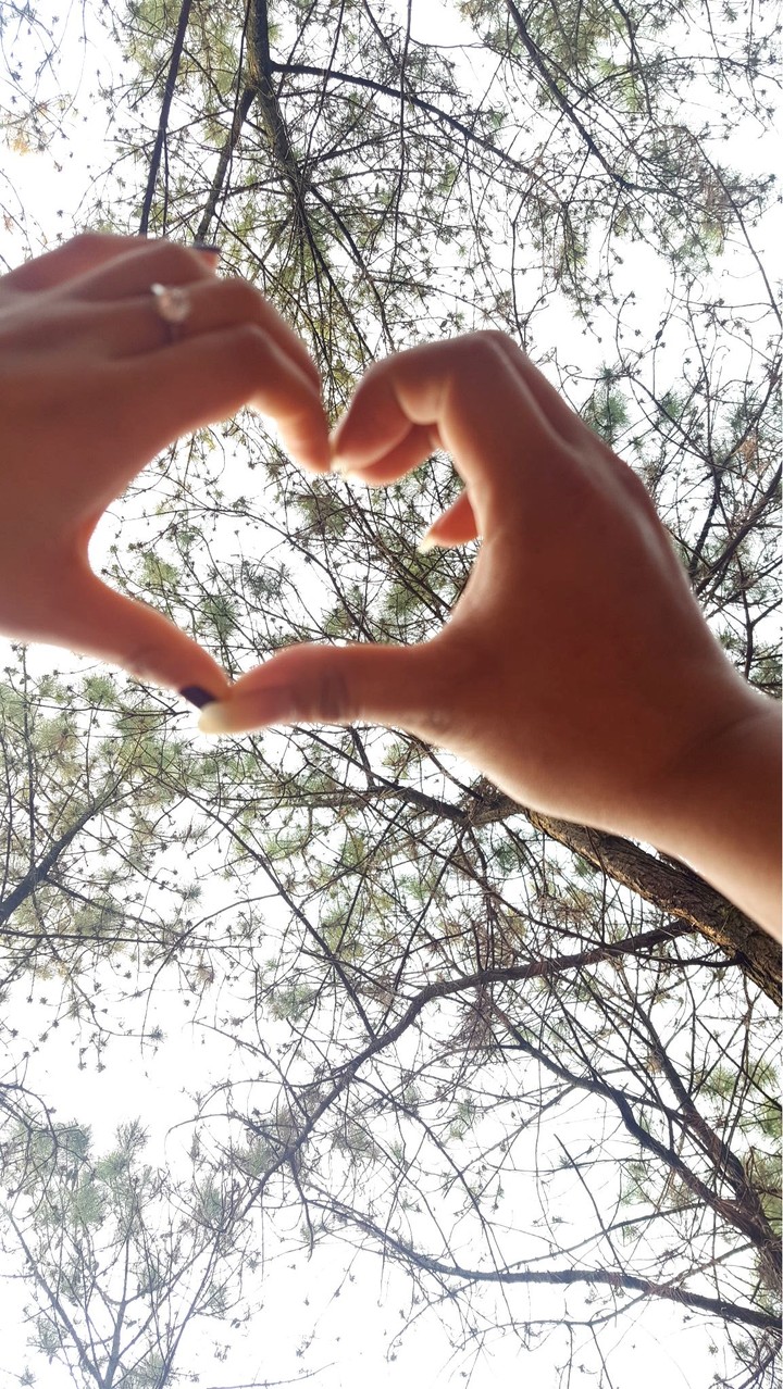 lover