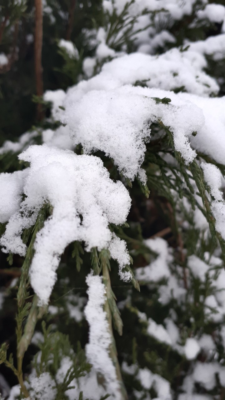 do you like winter?