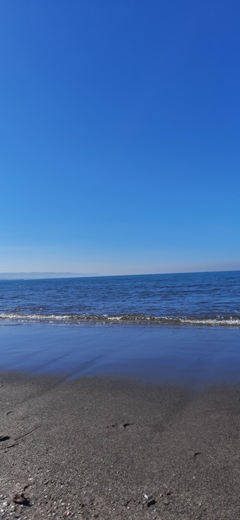 bleu