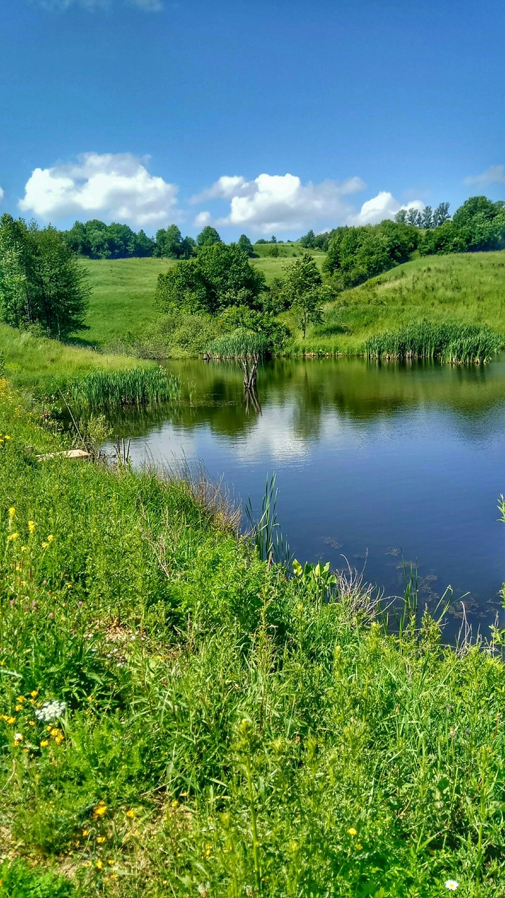 spring