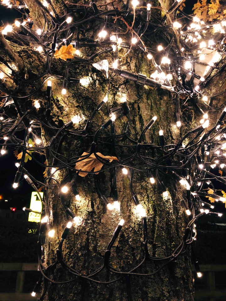 Christmas light