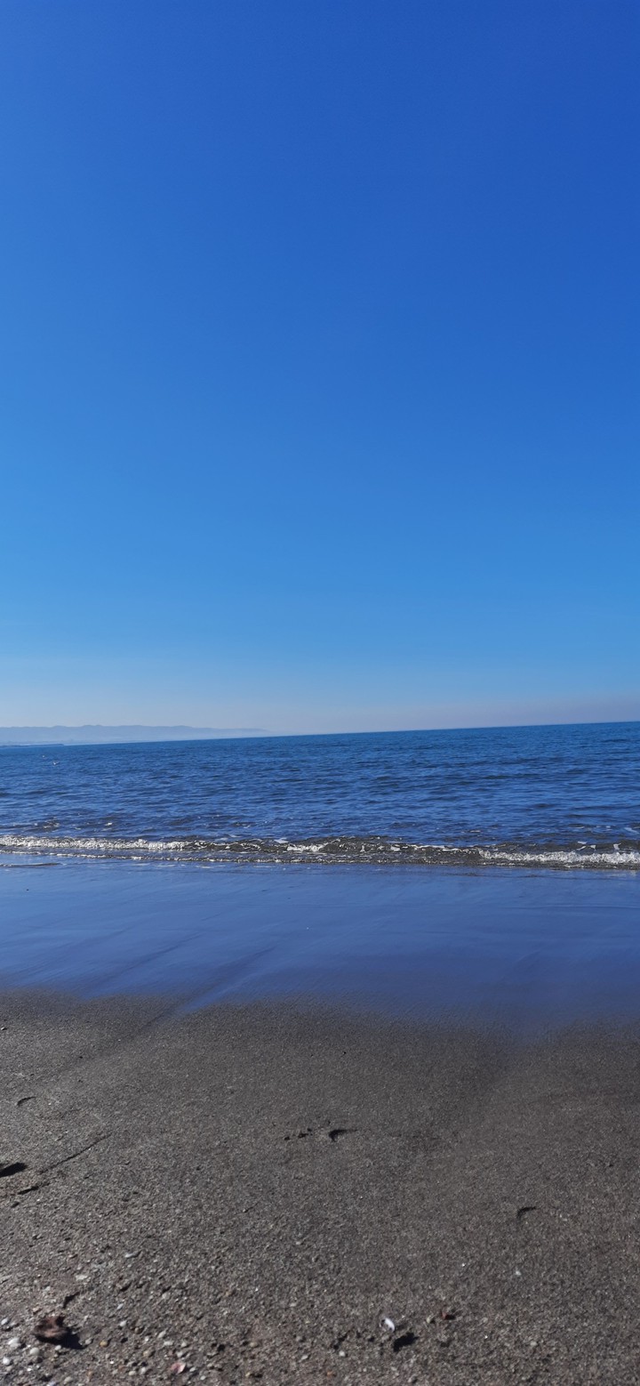 bleu