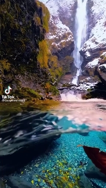 nature