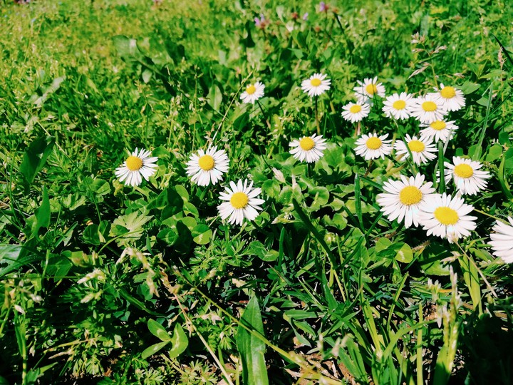 Yeni hobiler