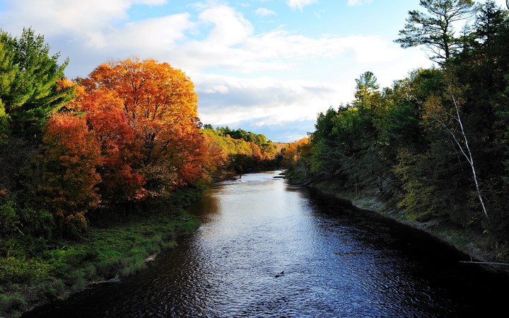 Fall by the River