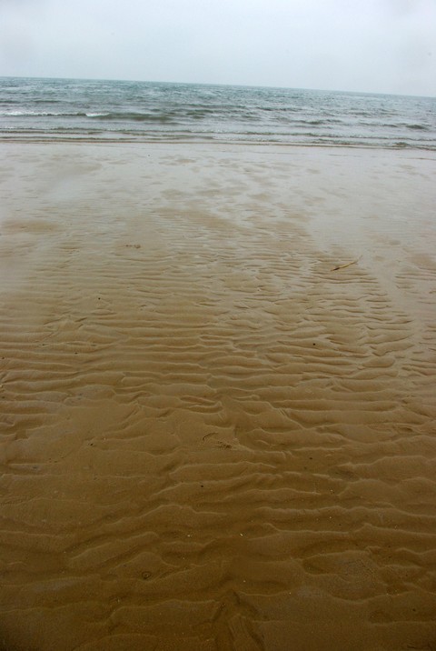 Environment