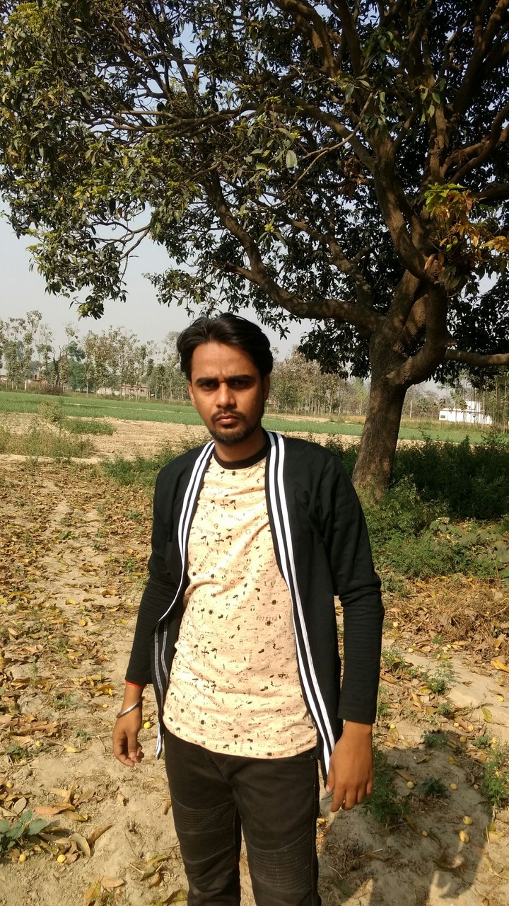 rajput