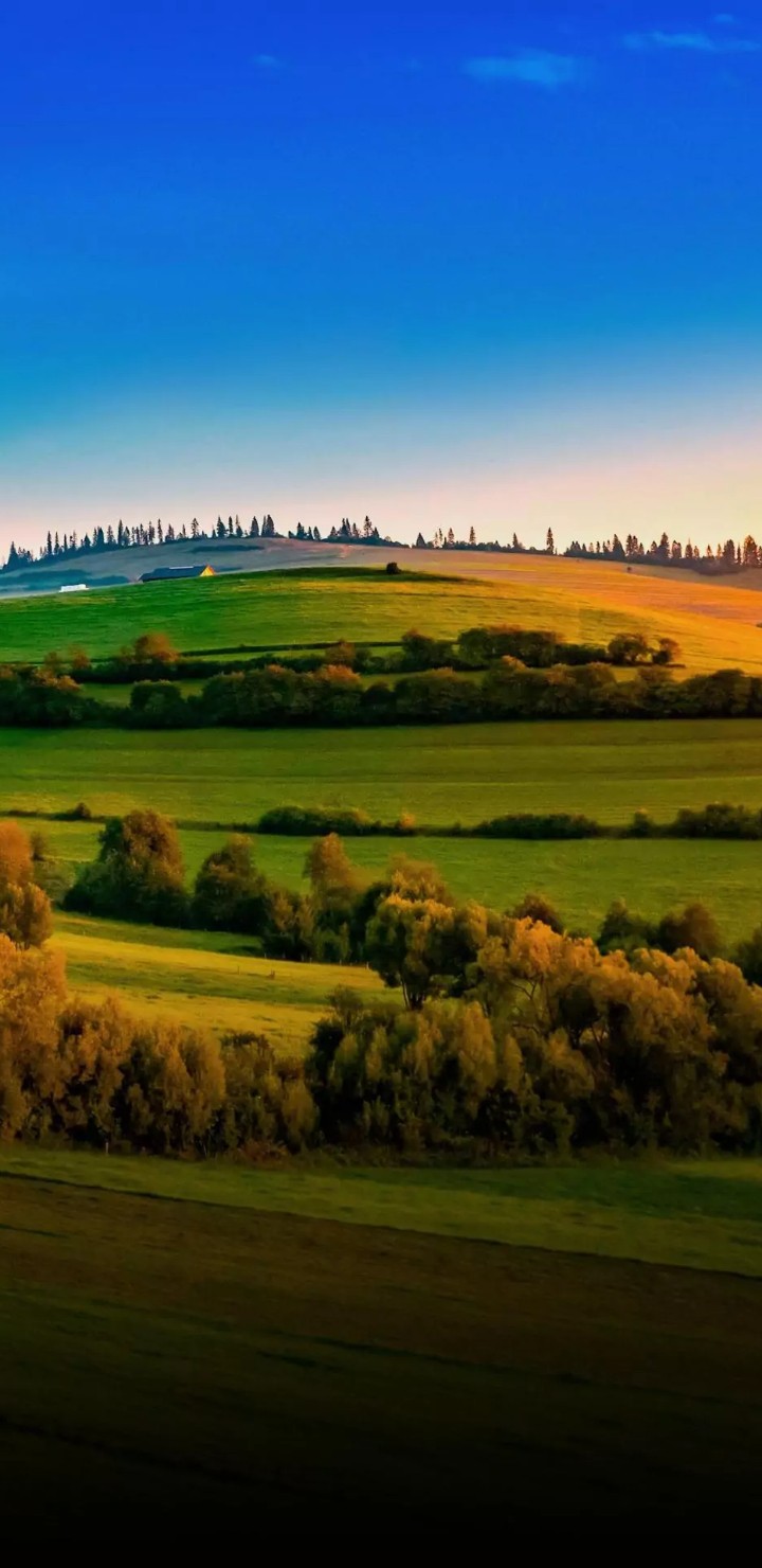 beautiful evening