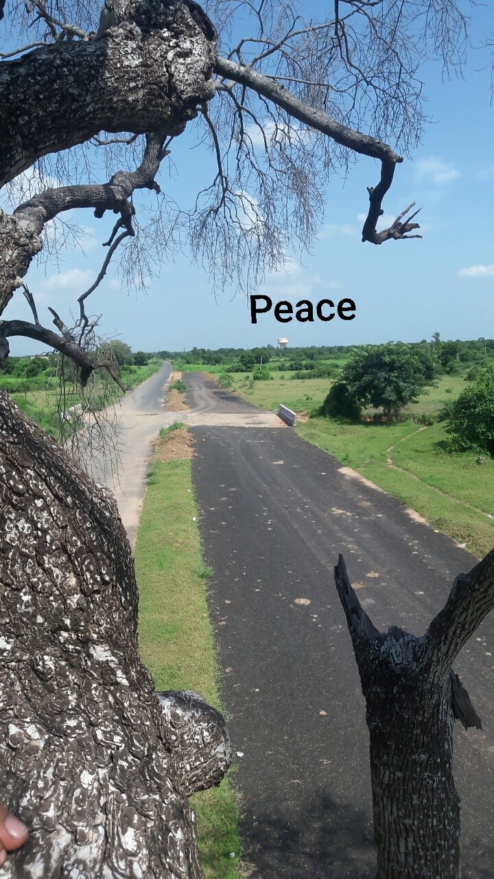 Click from tree