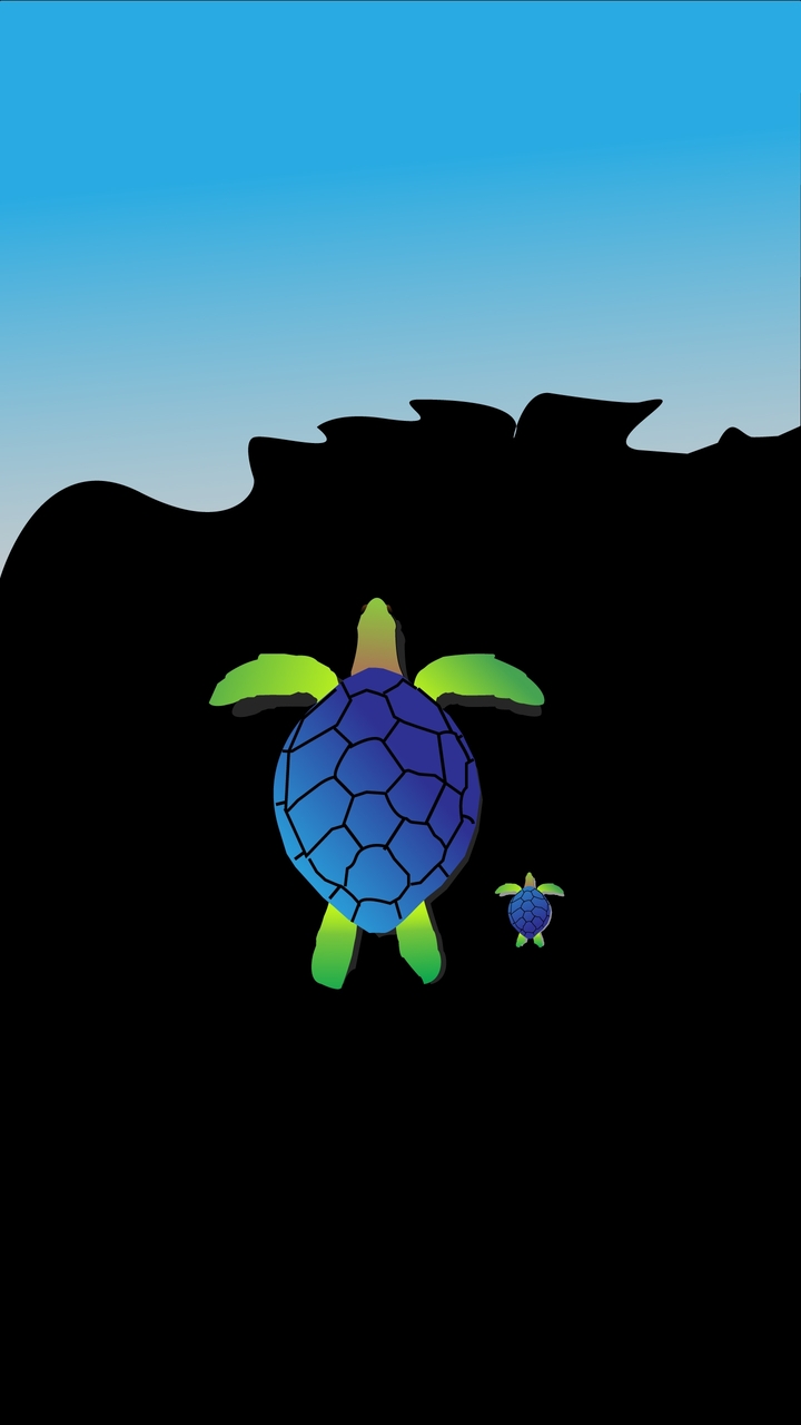 beach turtle