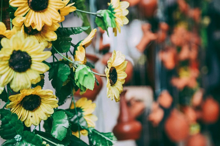 Flowers
