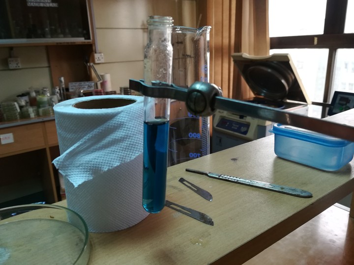 microbiology lab
