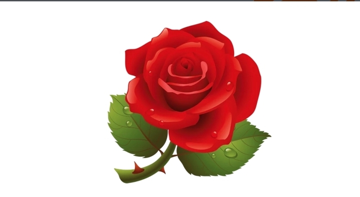 Rosa?  red color?   (vermelha)