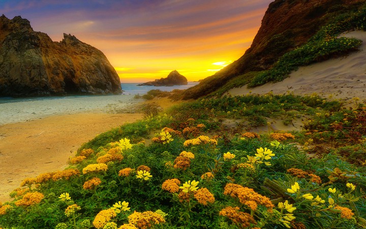 Sea coast