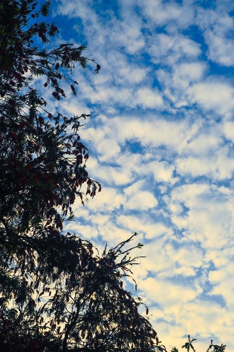 hình nền world, sky