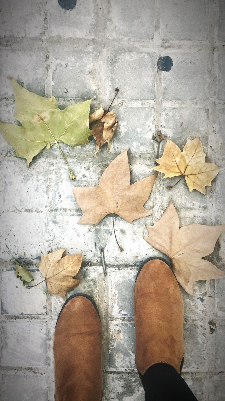 otoño