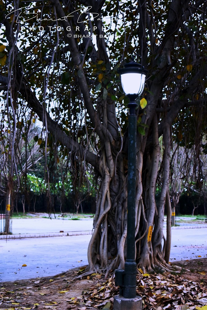 let the light inside you shine.