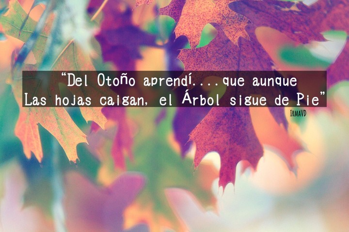 otoño