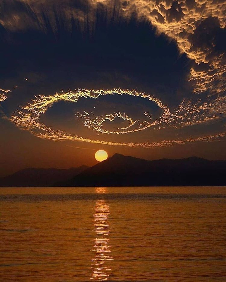 متنوع