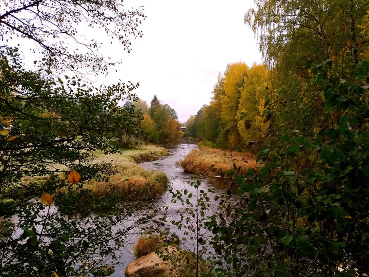 06.10.2019