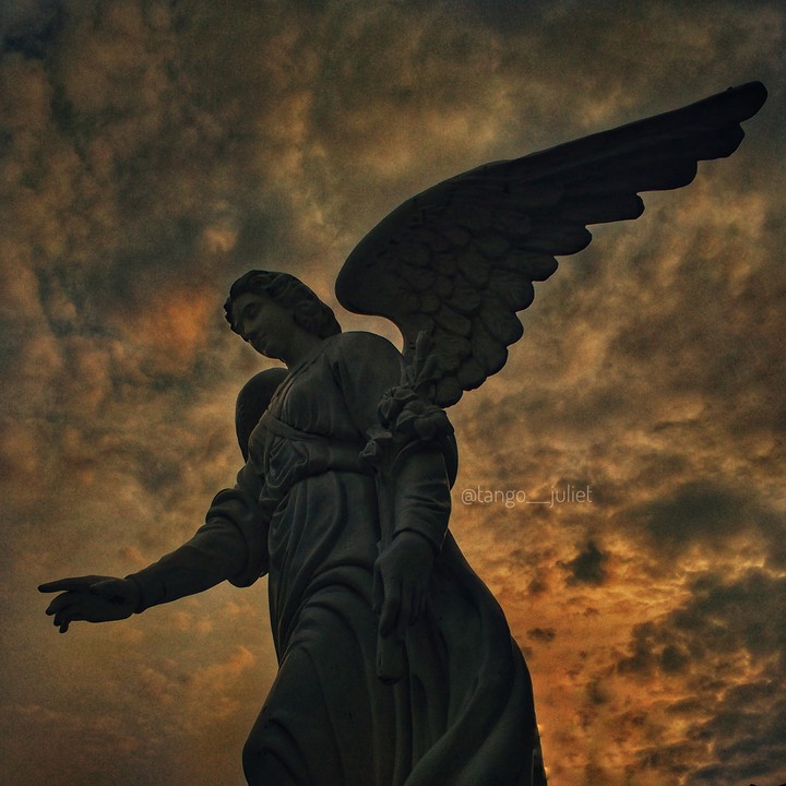 angel