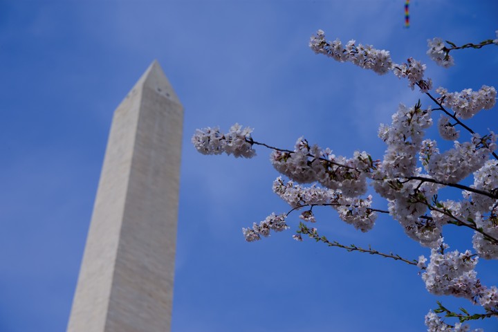 Washington Monument