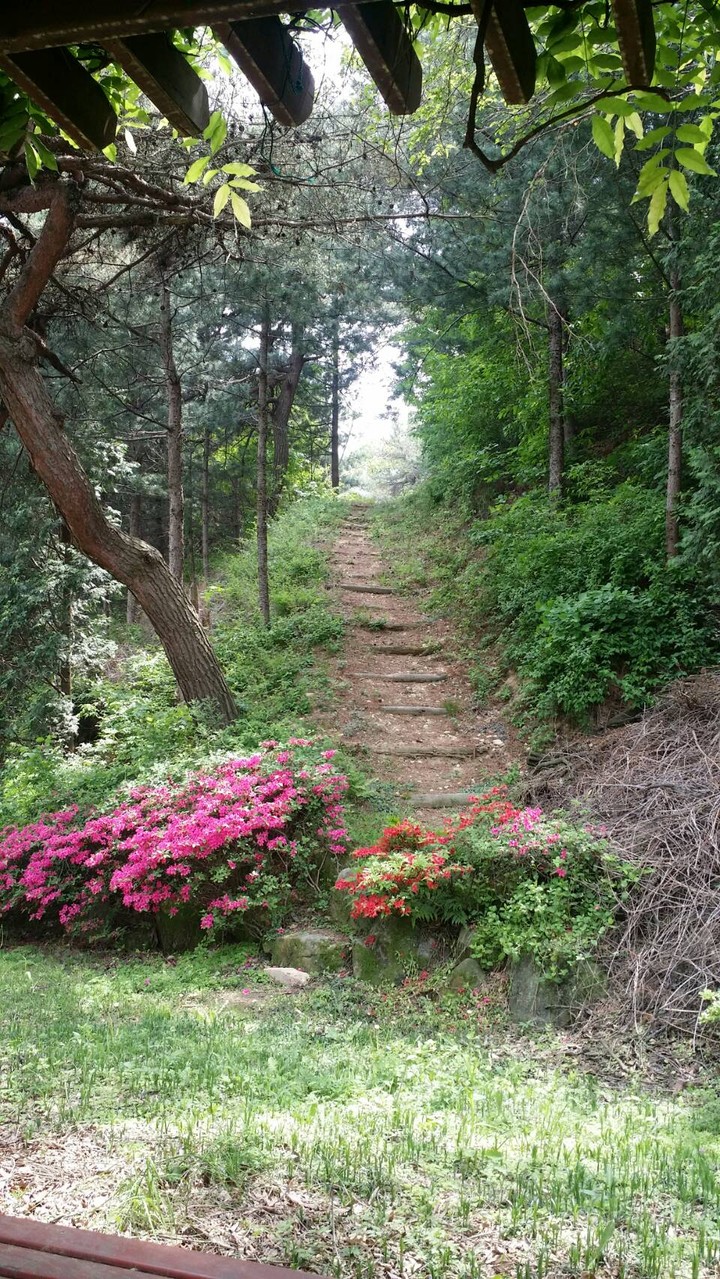 숲길