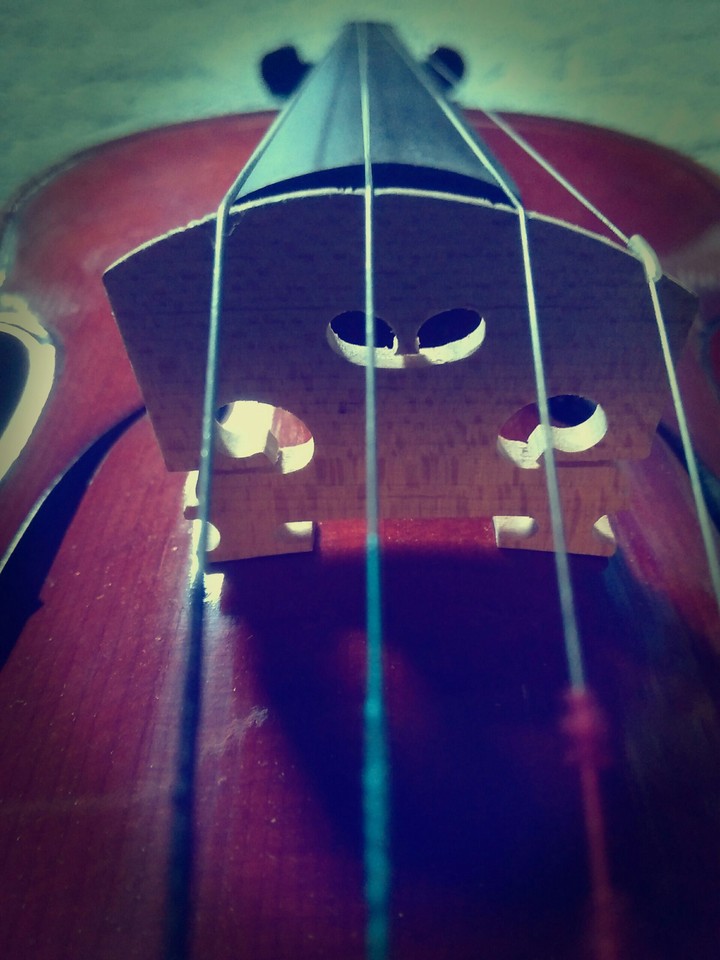 violin