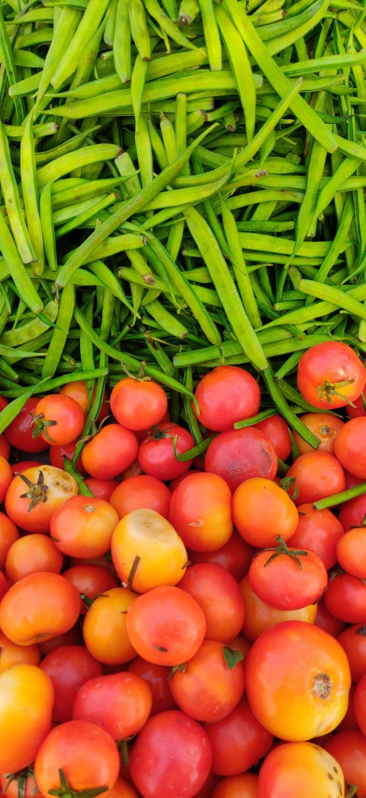 Red & Green Tometoes and Cluster Bean
